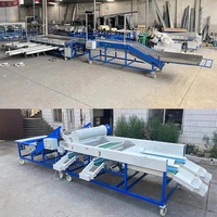 Machine de classement de triage d'olives Machine de classement de tomates cerises Machine de classement de fruits pour fruits ovales