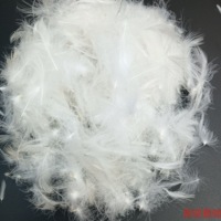 Vente en gros de doudoune en velours d'oie grise Produit de haute qualité avec matériau extérieur en velours et rembourrage en duvet