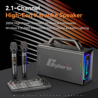 Machine de karaoké 200W avec console de mixage à distance, 2 micros sans fil, système de sonorisation portable pour anniversaire, fête à domicile, extérieur