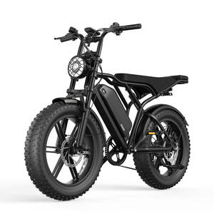 Vélo tout-terrain de haute qualité à pneus larges de 20 pouces, 48v 15ah 250w, vélo <span class=keywords><strong>électrique</strong></span> OEM pour adultes, vélo <span class=keywords><strong>électrique</strong></span> <span class=keywords><strong>VTT</strong></span> - Product Image 1