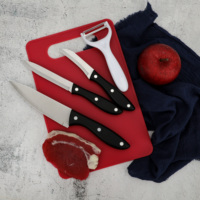 Lot de 5 couteaux de cuisine écologiques en acier inoxydable avec manches en plastique, anti-rouille, pour fruits (couteau d'office, éplucheur, couteau utilitaire, couteau de chef, planche à découper)