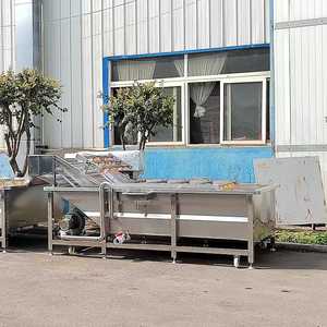 Lavatrice Industriale a Bolle per Frutta e Verdura con Sistema di Asciugatura ad Aria per Patate, Pomodori e Avocado - Product Image 6