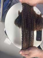 Capelli Afro crespo 100% sfuso capelli naturali capelli umani intrecciati per la riparazione Dreadlocks Loc, le estensioni Dreadlock torce trecce