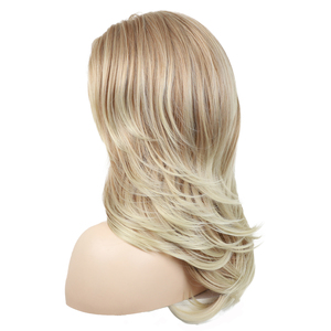 Parrucche grigie argento diritte naturali da <span class=keywords><strong>donna</strong></span> di prezzo all'ingrosso in vari colori le feste di moda usano parrucche sintetiche - Product Image 1
