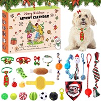 PAIPET Calendrier de l'Avent 24 Jours pour Chat – Coffret Cadeau de Jouets Interactifs pour Chatons avec Souris, Balles, Baguette de Teaser et Collier