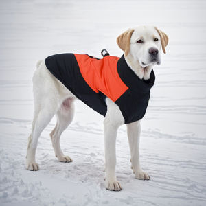 เสื้อโค้ทกันหนาวสำหรับสุนัขแบบคลาสสิก ผลิตจากโพลีเอสเตอร์ กันน้ำ อุ่นสบาย ขายส่งจากโรงงาน - Product Image 3