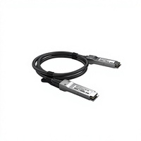 Kabel Twinax 400G QSFP112 DAC 2-Konduktor Tembaga Pasif Direct-Attach