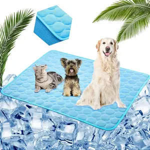 Ice Silk Summer Cool Cat Pad Bed forniture per animali domestici traspiranti Training Dog Cooling Pet Puppy Pad Pet Mats