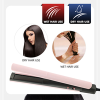 RUCHA Lisseur et Sèche-Cheveux 2 en 1, Utilisation à Sec et Humide, Styler à Air Chaud Portable