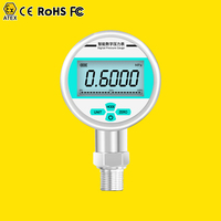 Manomètre de gaz basse pression, manomètre de température et de pression 0-300 psi, manomètre électronique, manomètre numérique pour l'eau