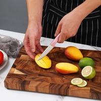Fabriek Odm & Oem Roestvrij Staal 3.5 Inch Keuken Universele Chef-Kok Groente Snijden Fruit Schilmes