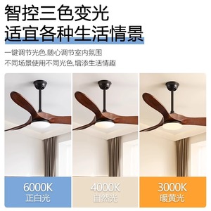 Ceiling Fan Light With Led Bulb 50000 Hours Lifespan For Living Room And Dining Room Fixed Blade Design - Product Image 4