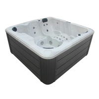 Baignoire à remous personnalisée Approuvé CE Baignoires de spa simples 6 personnes Jacuzzier Spa extérieur Bain à remous avec prix d'usine