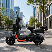 Bicicleta Eléctrica de Ocio al Aire Libre, Motor de Alta Potencia de 60V, Neumáticos Resistentes al Desgaste, Amortiguación Multietapa, Cuadro de Acero, Frenos de Tambor Delanteros/Traseros