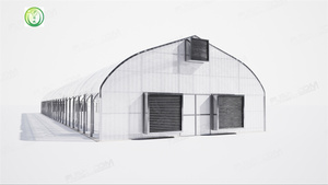 Agricultura Comercial Personalizado Gran Invernadero Estándar Marco de acero galvanizado en caliente Cúpula arqueada Túnel Invernadero Plástico PE - Product Image 3