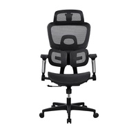 Chaises de bureau de luxe chinoises avec siège large, dossier en maille, soutien lombaire mobile, accoudoirs 4D et fonction inclinable pour salle de réunion