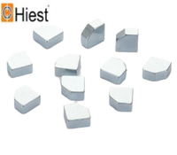 Vente directe Aimant trapézoïdal NdFeB Source de forme spéciale Haute température Durable Forte magnétique Diverses spécifications Non