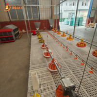 Système d'alimentation automatique pour volailles d'élevage commercial, usine de poulets de chair, fabricant direct, équipement complet