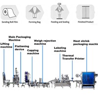 Ligne de production et d'emballage entièrement automatique certifiée CE pour sachets de nicotine, de snus et de tabac en tissu non tissé de 1g et 5g
