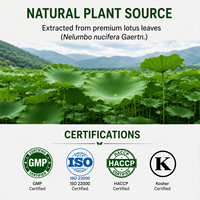 Polvo de Alcaloides de Nuciferina 98% HPLC, Extracto de Hoja de Loto para Cápsulas Adelgazantes, Soporte OEM