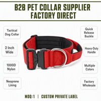 Collier pour chien respirant et réglable, 5 cm de large, motif de dessin animé, boucle en métal pour Golden Retriever, grands chiens, fournitures pour animaux de compagnie personnalisées OEM