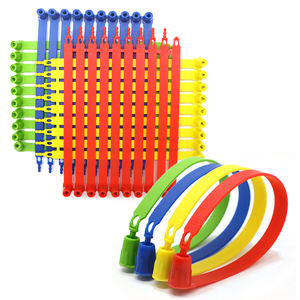 BCP601 индивидуальные цветные пластиковые пломбы для контейнерных грузовиков - Product Image 2