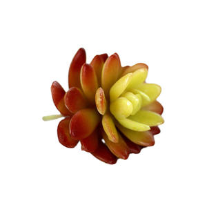 2024 10cm Planta artificial <span class=keywords><strong>Echeveria</strong></span> Lenore Dean interior suculenta - Product Image 1