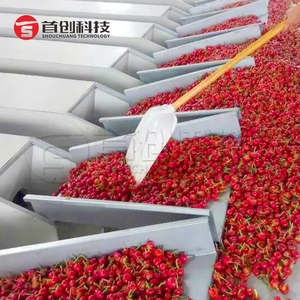 Công nghiệp khô Ớt hạt tiêu sấy dây chuyền chế biến với lưới vành đai máy sấy Ớt cuống cắt và hạt giống Loại bỏ máy - Product Image 5