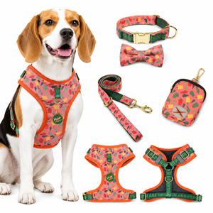 <b>Dog</b> Harness Set Adjustable No Pull Pet Harnesses with Collar Bow Tie Leash Poop Bag Holder ID <b>Tag</b> with Metal Buckle Coffee - Product Image 5