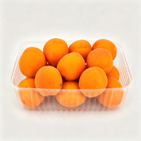 Barquettes alimentaires jetables en plastique PET transparent pour biscuits, sushis, fruits