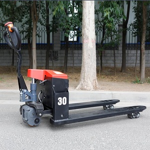 Transpaleta Eléctrica de 3000 kg de Capacidad, Neumáticos Sólidos, Mástil de una Etapa, Batería de Plomo-Ácido, Uso en Exteriores y Pavimentos - Product Image 1