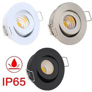 220Vac DC12V High Intensity Waterproof LED Spotlight White Silver Anti Dazzle Movable LED Spot Light