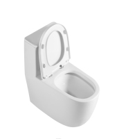 WC en céramique moderne, monobloc, double chasse d'eau, siphon en P, fermeture lente, haute qualité, sanitaire pour hôtel, salle de bain