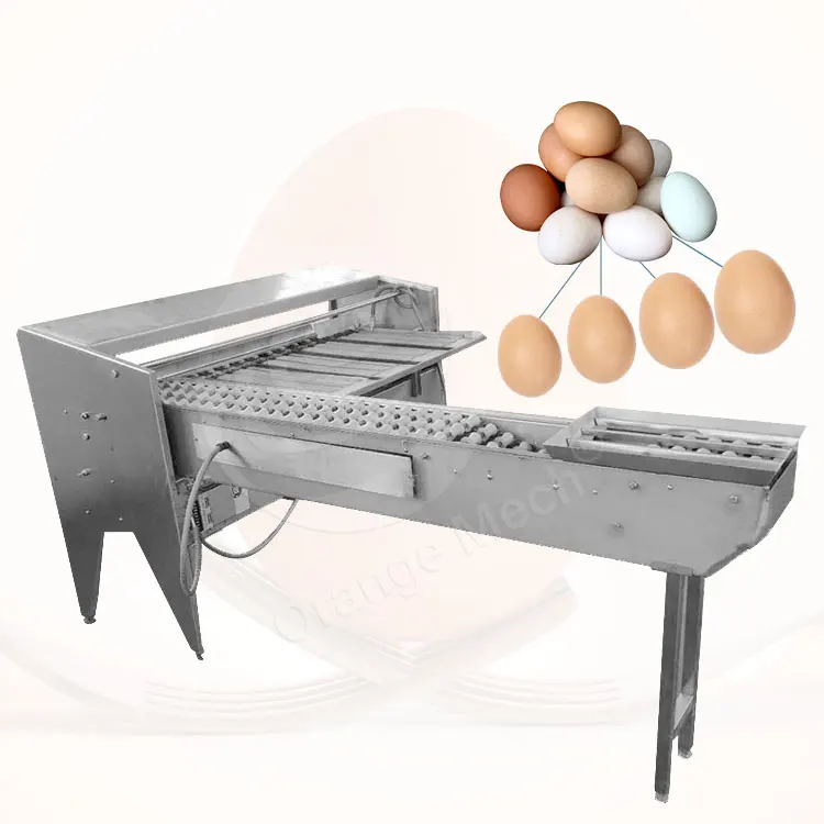 ORME Cheap Stainless Steel China Manufactured Sort Egg Grade Machine with Candle Function