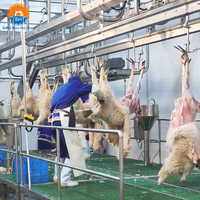 Rumah Potong Hewan (RPH) Domba Kambing Halal ZBHT, Peralatan Pemotongan, Mesin Pengolahan Daging, Dukungan Kustomisasi