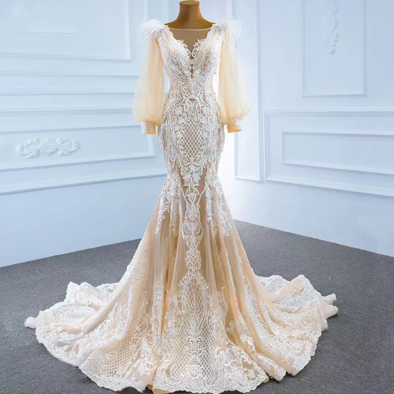 Chic Bell Sleeves Bridal Gown Vintage Lace Champagne Backless Applique Wedding Dress