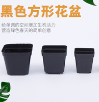 Bon marché carré 5.5cm 6cm 7cm 9cm 10cm meilleur petit pot de graine de fleur carré noir pour plantes succulentes pot de pépinière en plastique