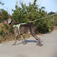 Laisse Rétractable pour Chien Truelove, Réfléchissante, Mains Libres, pour la Marche et l'Entraînement, Corde Robuste avec Poignée Rembourrée Confortable
