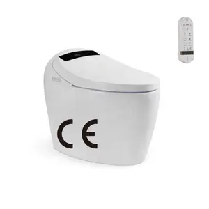 Smart Toilet With Automatic Wc Bidet And Intelligent Functions In Special Offer