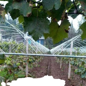 Poteau de treillis de vigne pôle de support de plantes de pépinière résistant aux UV - Product Image 4