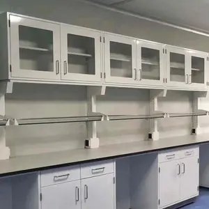 ตู้แขวนห้องปฏิบัติการตู้เก็บของเหนือศีรษะคุณภาพสูงและทนต่อสารเคมี