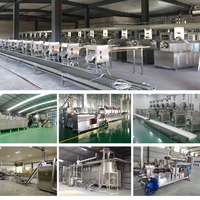 Machine de production d'extrudeuse à vis unique italienne pour pâtes et nouilles de riz pâte à macaroni