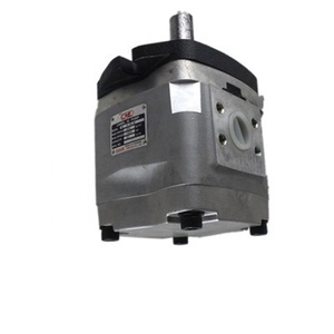 เปลี่ยนปั๊มไฮดรอลิกแบบใบพัด IGH-4F-25 รุ่น IGH/IGC-2E/2F/3E/3F/4E/4F/5E/5F-3.5/6.5/10/13/16/25/32/40/50/64-R - Product Image 4