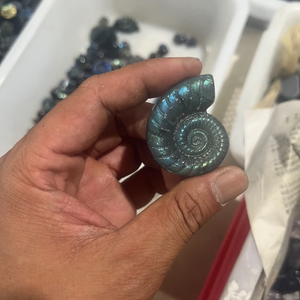Labradorite, ammonite fossile, coquille de cristal polie, pierre naturelle, objet de collection artistique, éclat bleu, forme spirale colorée - Product Image 5
