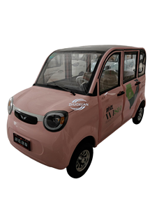 Véhicule à quatre roues pour adultes, de haute qualité, style tendance, plusieurs configurations suivant les tendances du marché étranger - Product Image 6