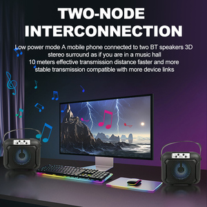 SING-E ZQS0941WX - Máquina de Karaoke Portátil para Exteriores, <span class=keywords><strong>Precio</strong></span> Especial de Fábrica, Suministro Directo, Mini Máquina de Karaoke con Micrófono y Altavoz BT - Product Image 2