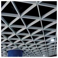 Elegantes Paneles de Techo de Aluminio para Arquitectura Moderna y Proyectos de Interiores