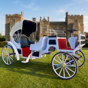 Charrette de chevaux électrique pour visites touristiques, charrette de chevaux royale pour mariage à vendre - Product Image 1