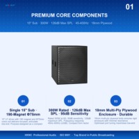 Subwoofer mono haute puissance 15 pouces HG-GS2F04-CWB 300W 8 Ohm Nominales 45Hz-400Hz pour système de sonorisation de scène et de tournée, concert
