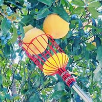Duurzame industriële metalen fruitplukker met telescopische stalen/houten steel, verstelbare moderne fruitplukmand